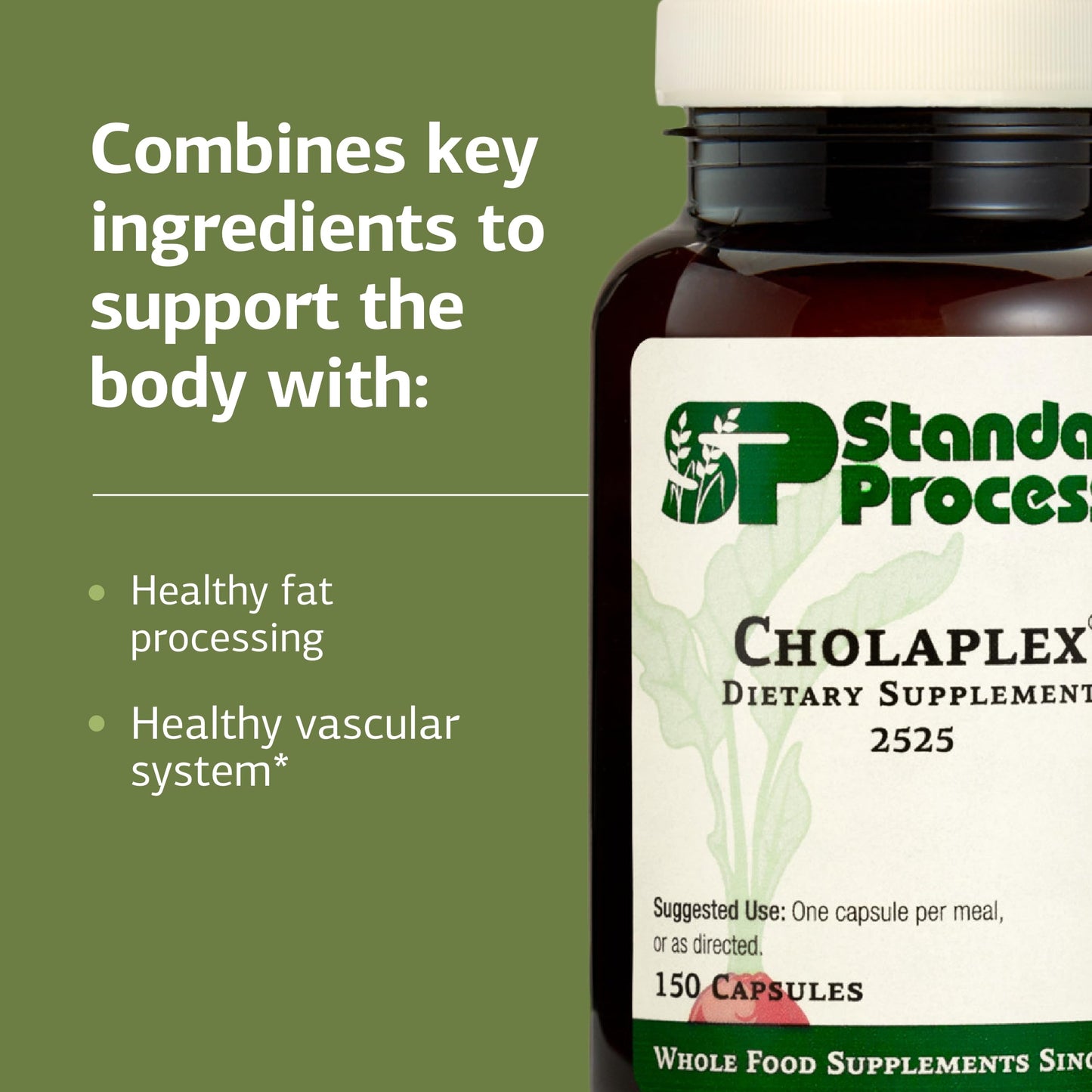 Standard Process Cholaplex – Heart Health & Liver Support | 150 Capsules