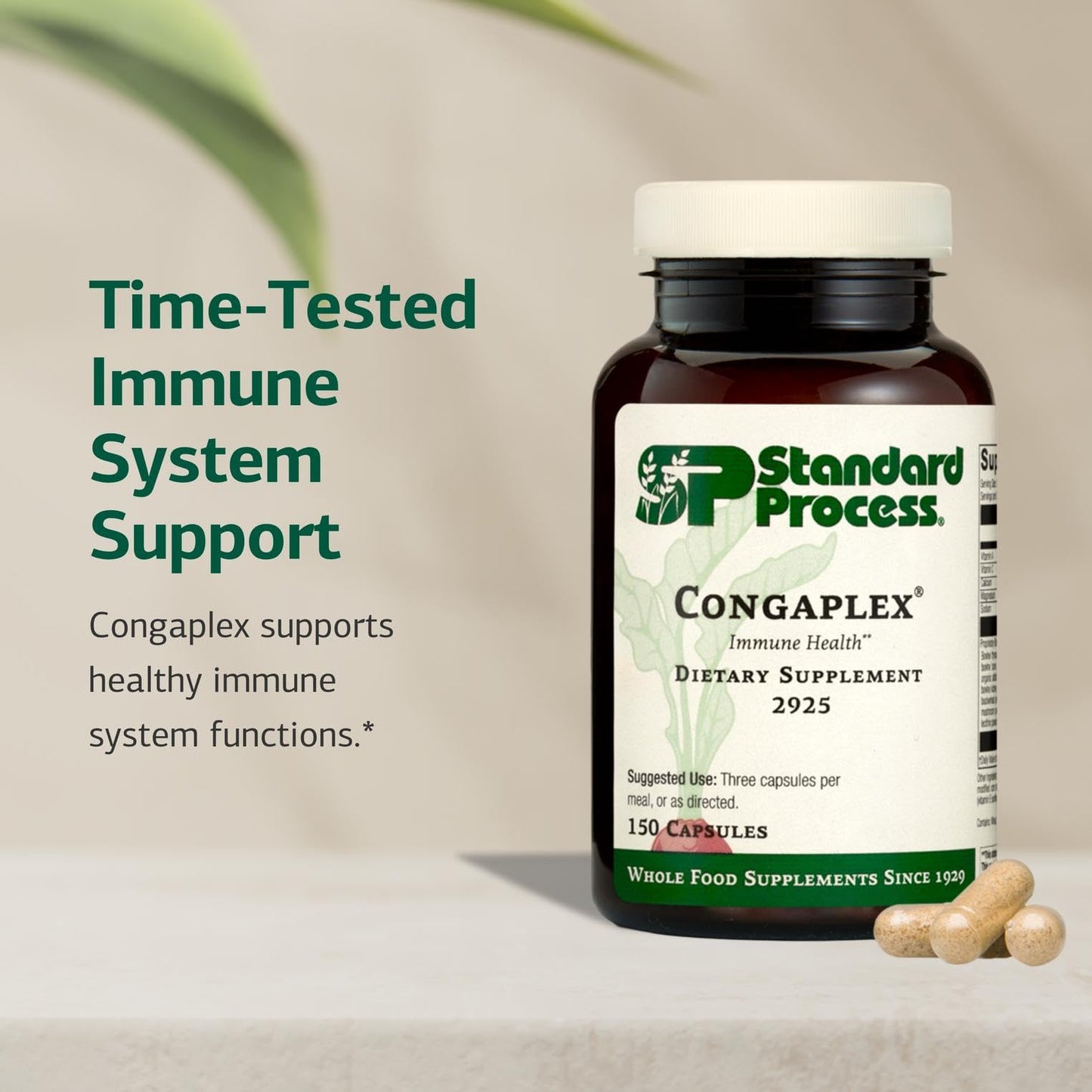Congaplex Thymus Gland Support - Immune Health Capsule Supplement, 150 Capsules | Standard Process Inc.