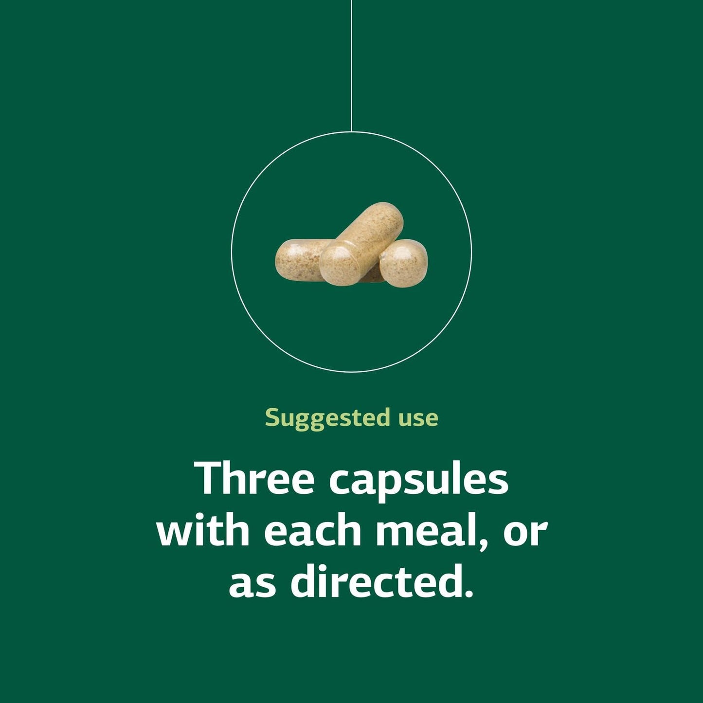 Congaplex Thymus Gland Support - Immune Health Capsule Supplement, 150 Capsules | Standard Process Inc.