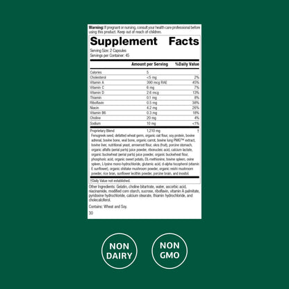 Standard Process Emphaplex | Respiratory Support & Cellular Energy – 90 Capsules (45 Servings)