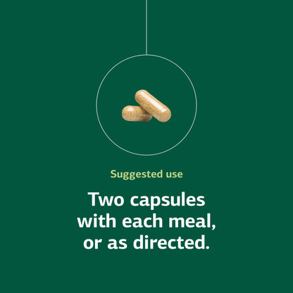 Standard Process Emphaplex | Respiratory Support & Cellular Energy – 90 Capsules (45 Servings)