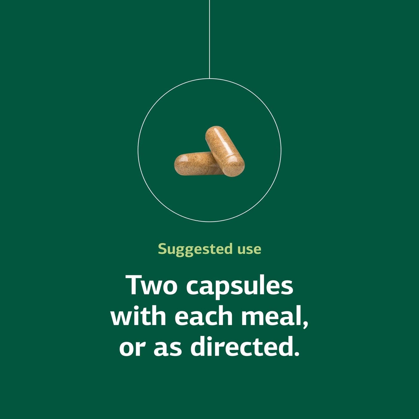 Immuplex – Standard Process Inc. | Daily Immune Support, 150 Capsules
