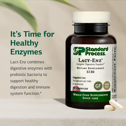 Standard Process Lact-ENZ – Whole Food Immune & Digestive Support, 90 Capsules