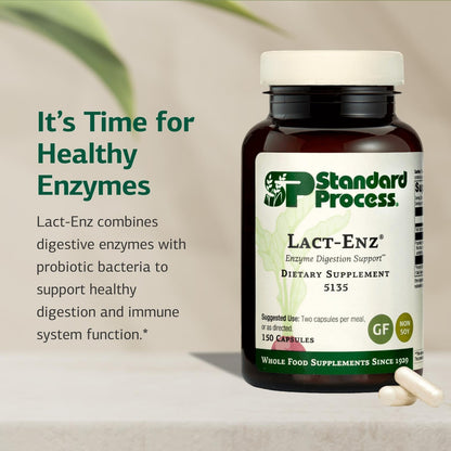 Standard Process Lact-ENZ: Gluten-Free Probiotic Digestive Support - 90 Capsules