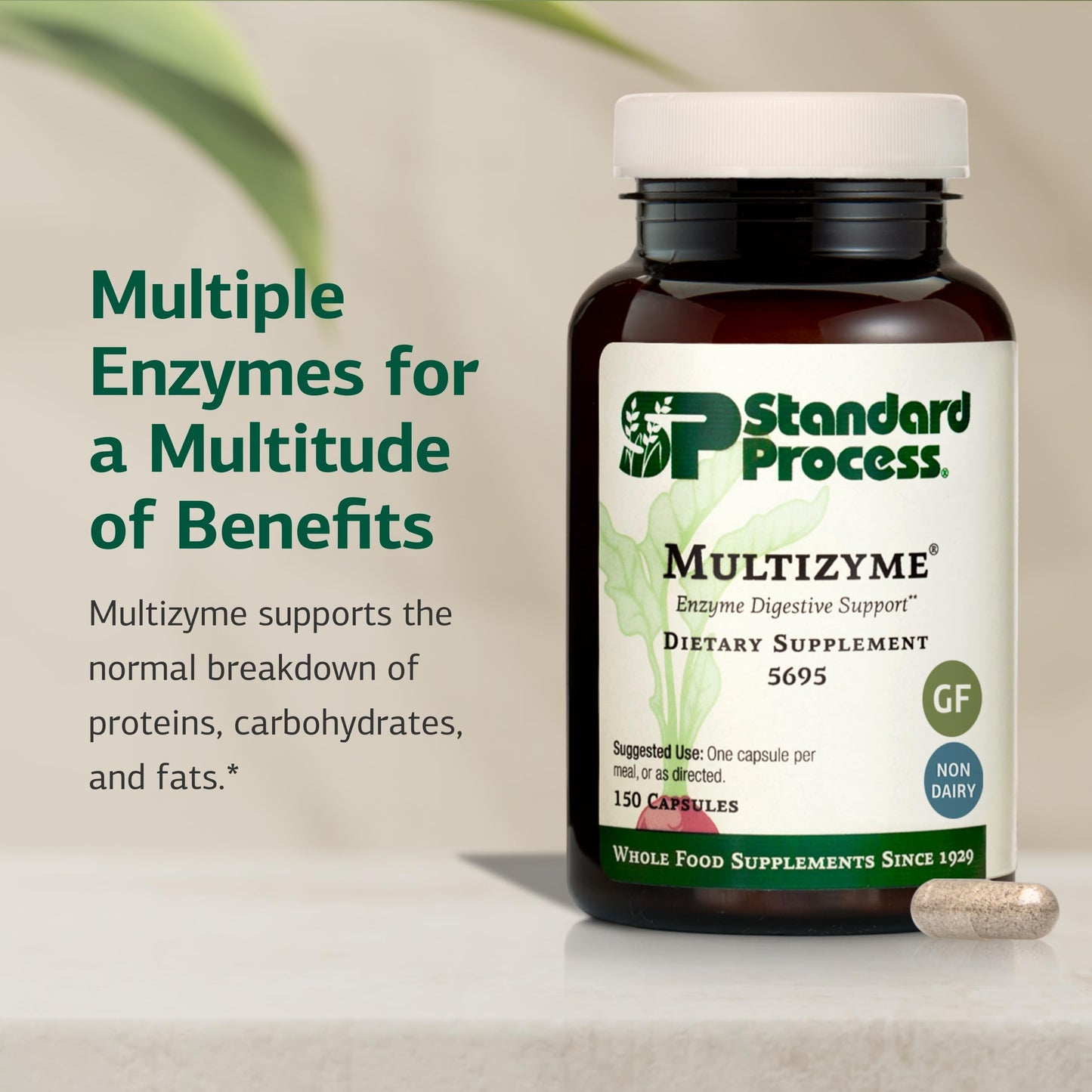 Standard Process Multizyme – Pancreatic Enzyme Support for Protein, Carbohydrate & Fat Digestion | Gluten-Free, Non-Dairy, Non-Soy | 150 Capsules