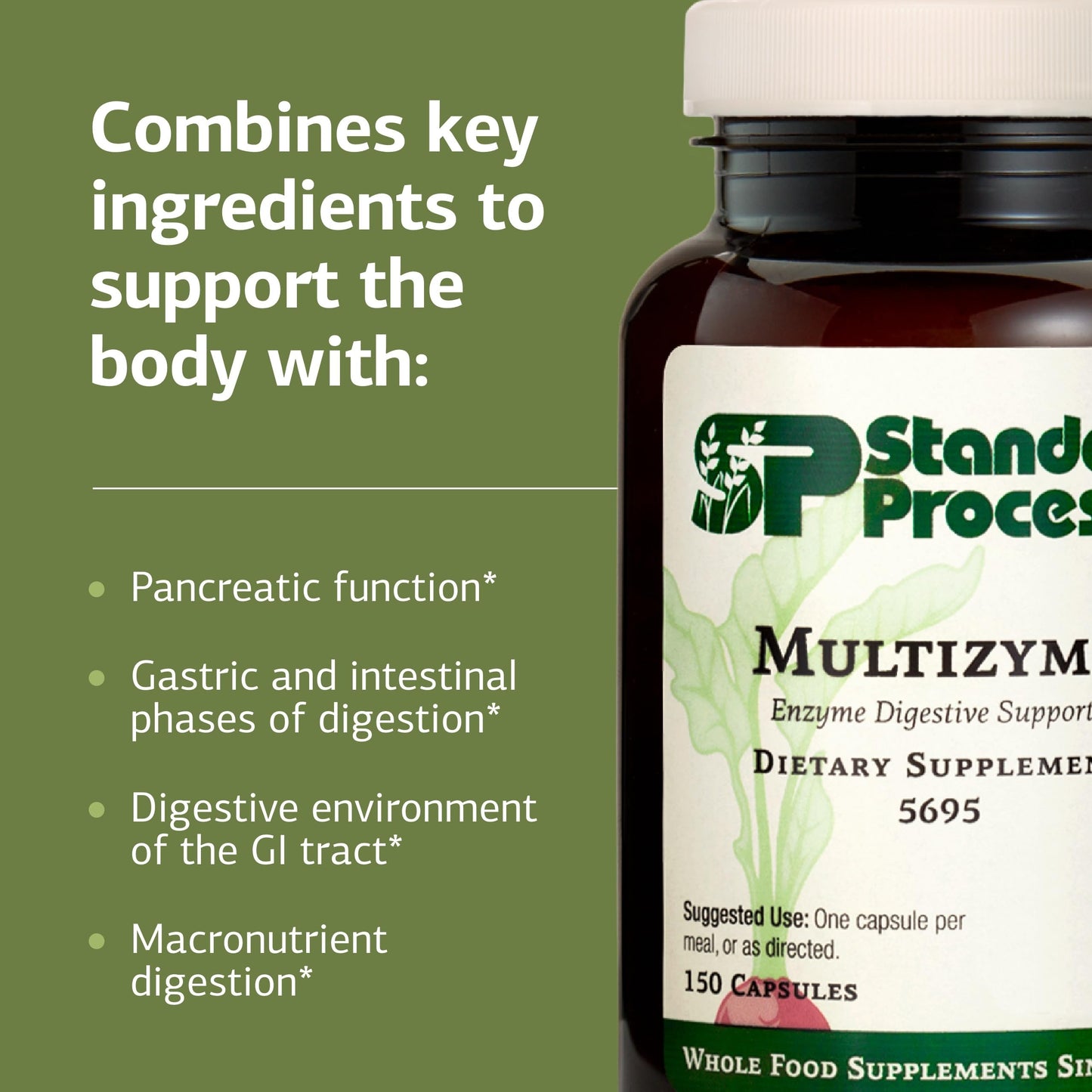 Standard Process Multizyme – Pancreatic Enzyme Support for Protein, Carbohydrate & Fat Digestion | Gluten-Free, Non-Dairy, Non-Soy | 150 Capsules