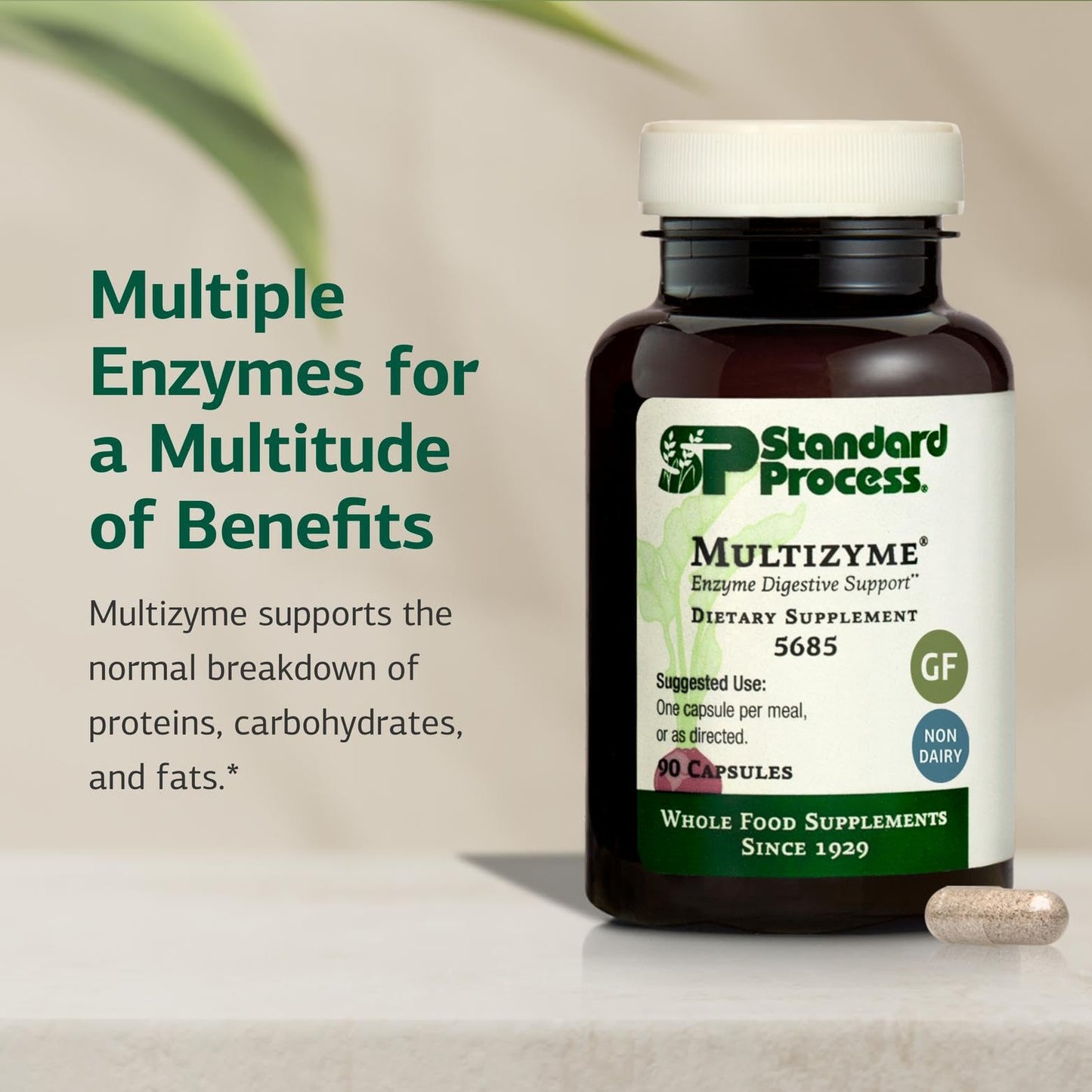 Standard Process Multizyme - Whole Food Pancreas Support & Digestive Enzymes (90 Capsules)