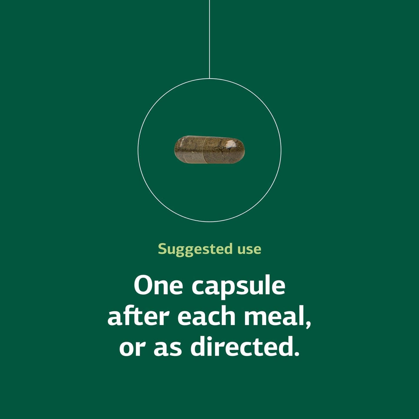 Standard Process Okra Pepsin E3 - Digestive Support for Protein Digestion, 90 Capsules