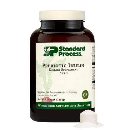 Standard Process Prebiotic Inulin – Gut Health & Immune Support