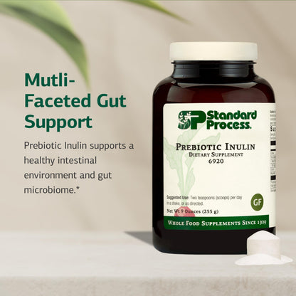 Standard Process Prebiotic Inulin – Gut Health & Immune Support