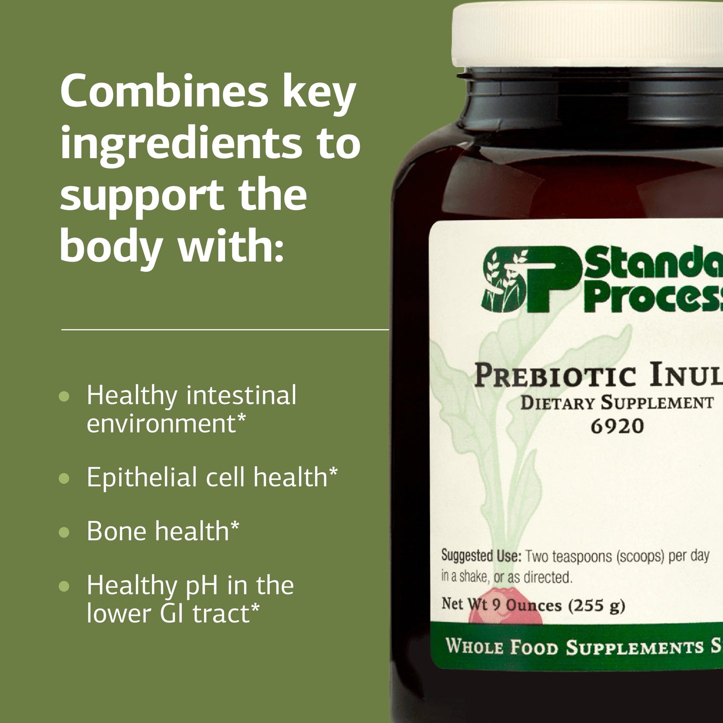 Standard Process Prebiotic Inulin – Gut Health & Immune Support