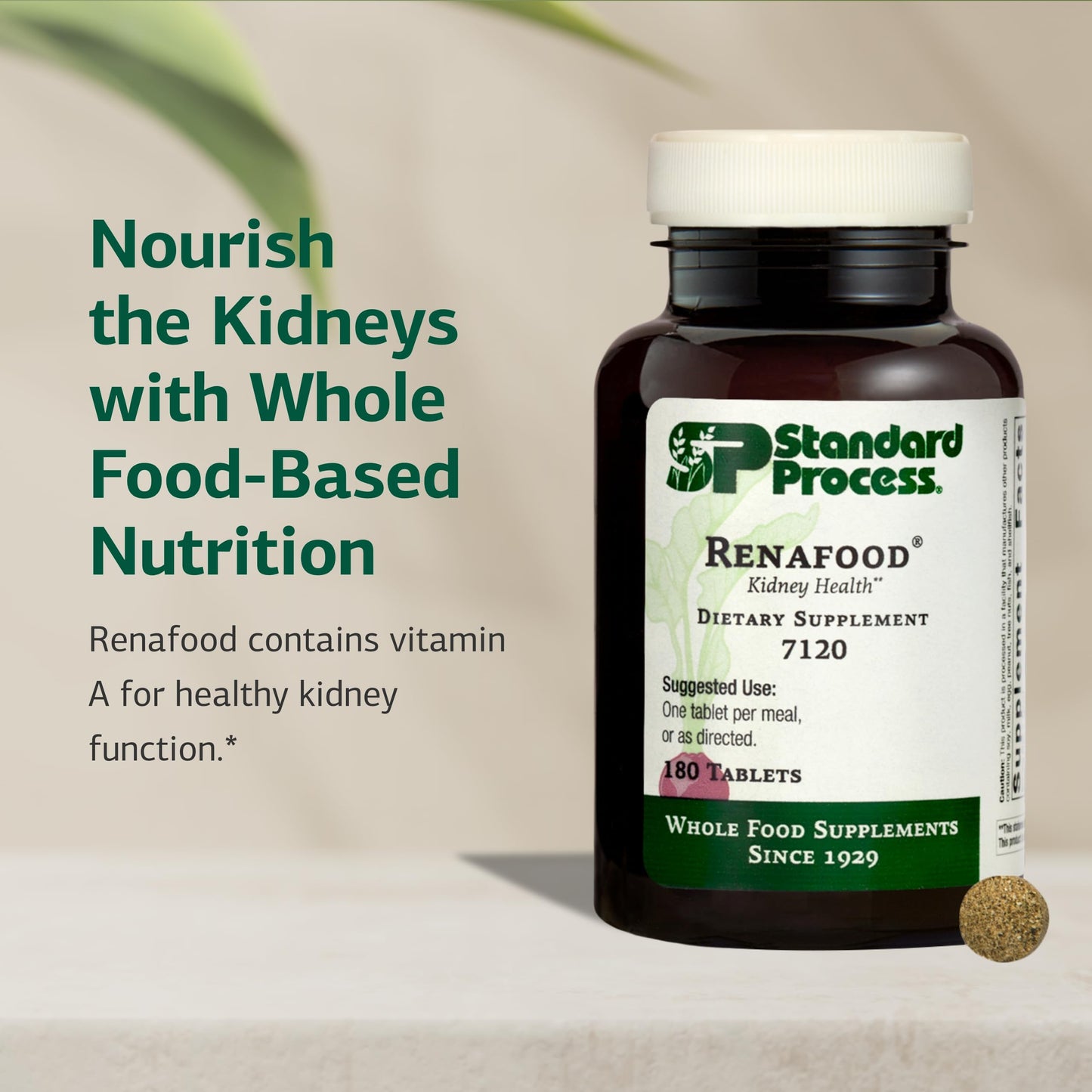 Standard Process Renafood - Kidney Support with Vitamin A, Non-Soy, 180 Tablets