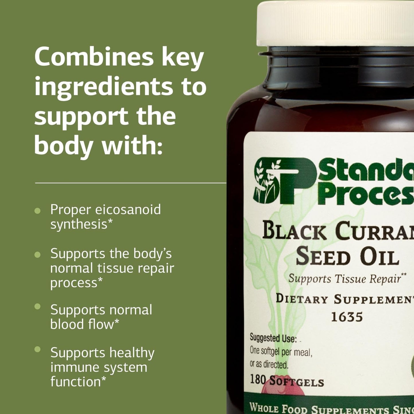 Standard Process Black Currant Seed Oil Dietary Supplement – Gluten-Free Immune & Tissue Support | 180 Softgels