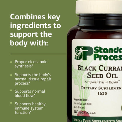 Standard Process Black Currant Seed Oil Dietary Supplement – Gluten-Free Immune & Tissue Support | 180 Softgels