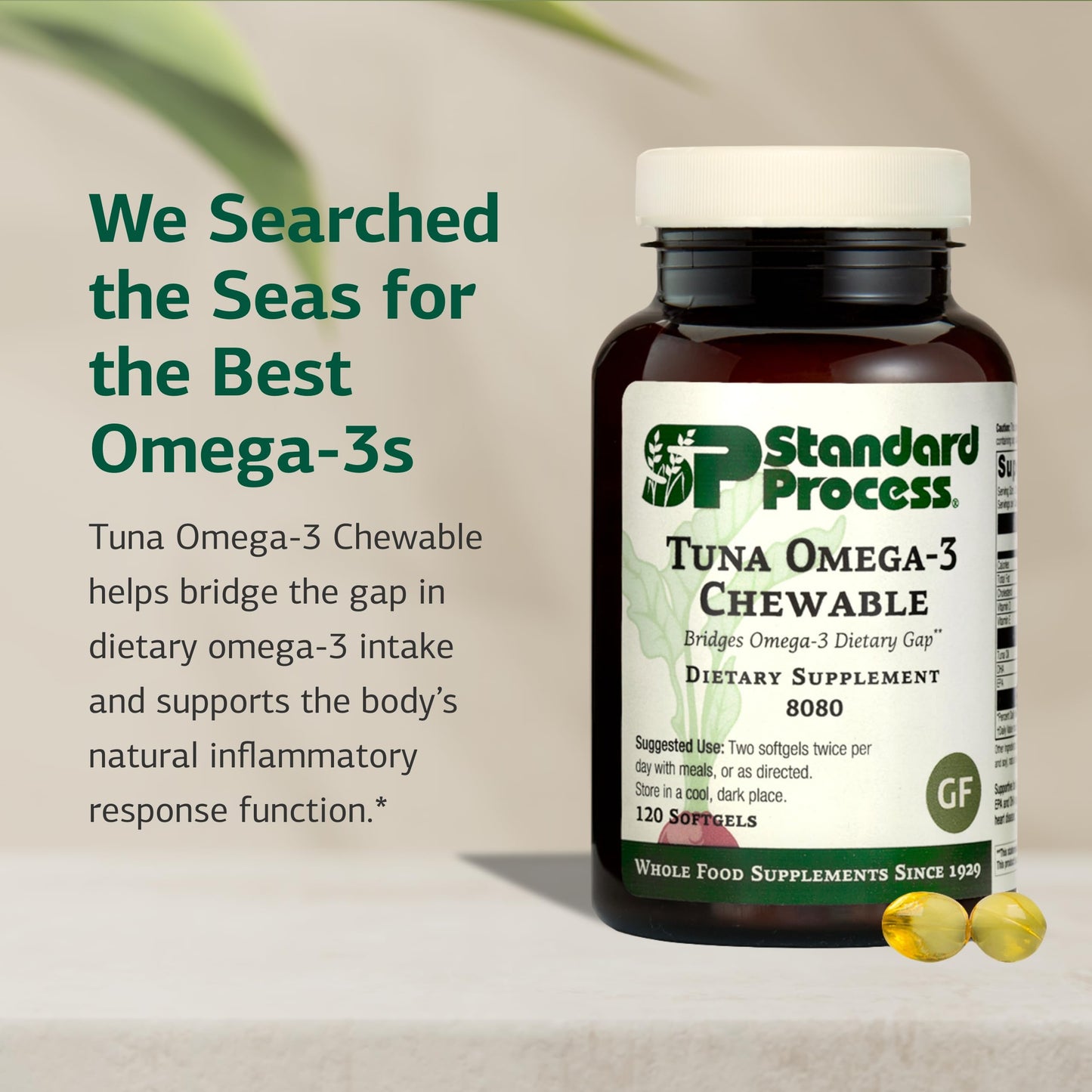 Standard Process Tuna Omega-3 Chewable — DHA Omega-3 for Brain & Eye Health | Gluten-Free & Non-Dairy | 120 Softgels