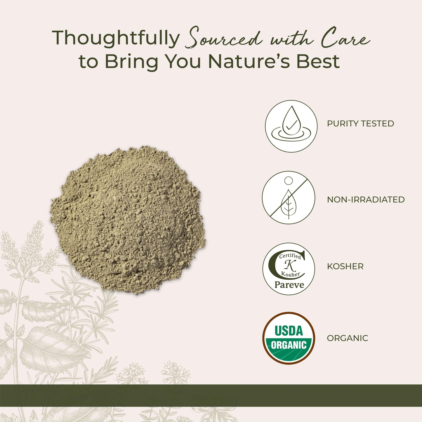 Starwest Botanicals Dried Bladderwrack Organic Powder - Natural Seaweed, Iodine, Potassium, Zinc, Calcium | Kosher, Non-GMO, 1 lb Bulk