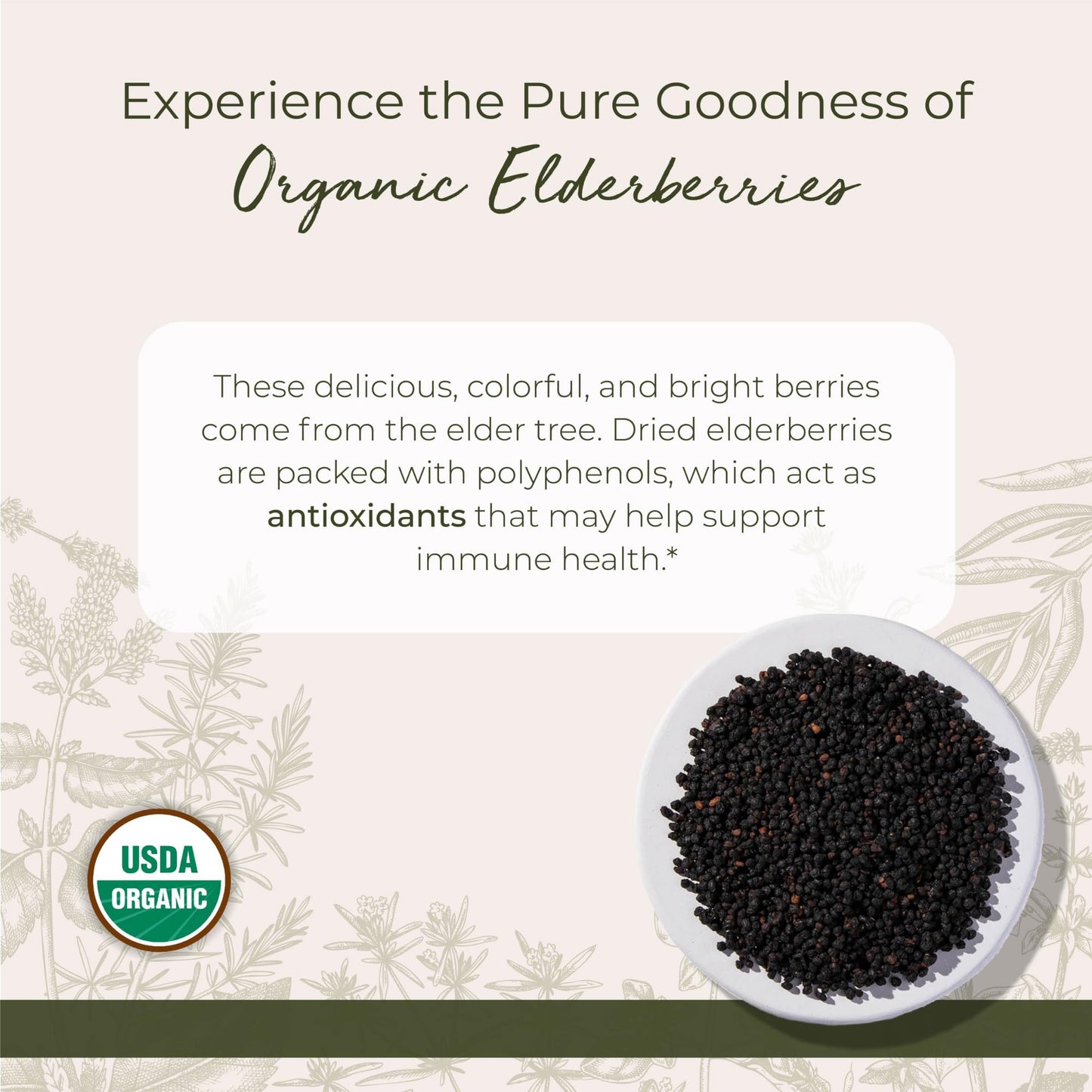 Starwest Botanicals Organic Elderberries – Dried Elderberries for Tea, Syrup & Jam (2 lb Bulk)