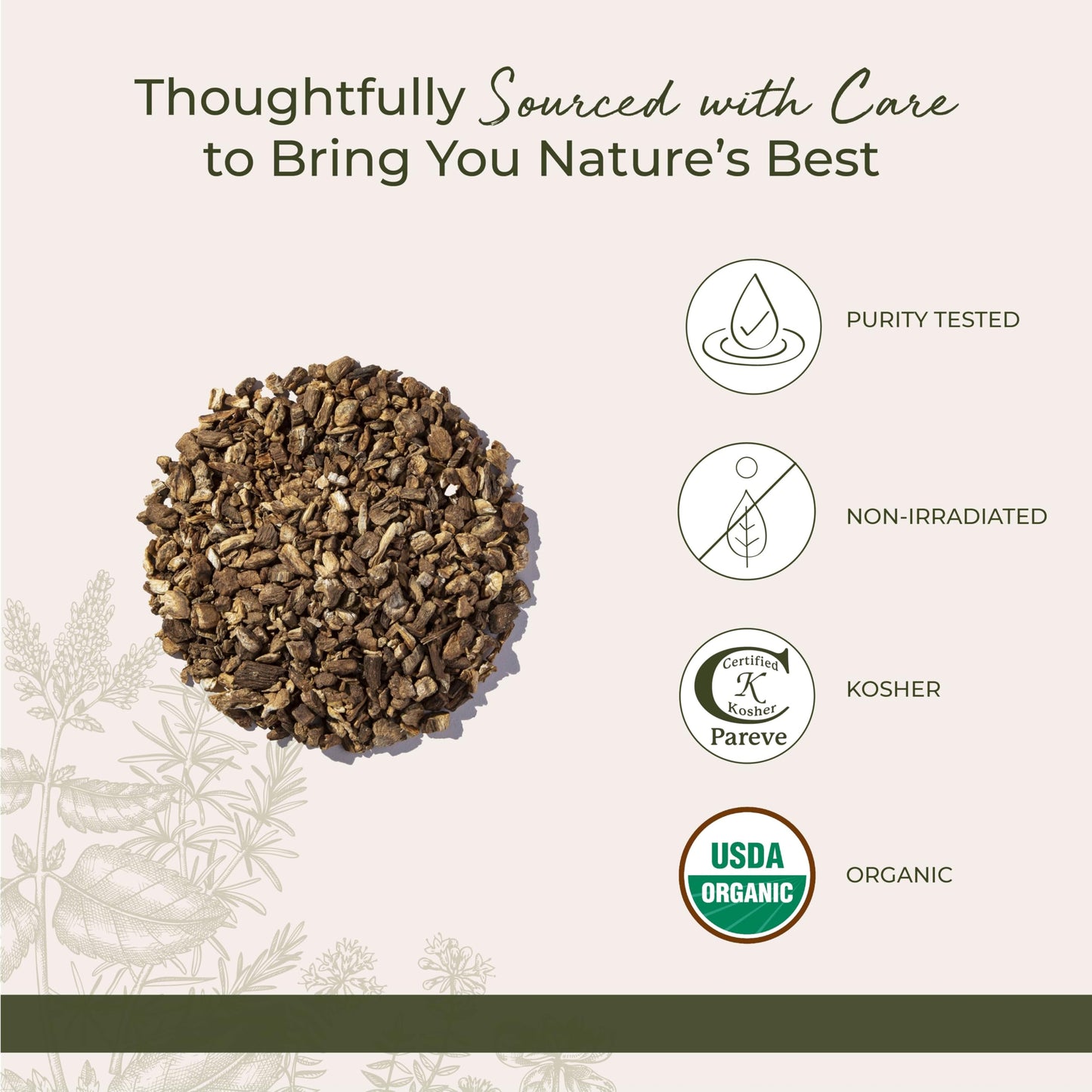 Starwest Botanicals Burdock Root Organic - 1 lb Bulk, Kosher, Non-GMO