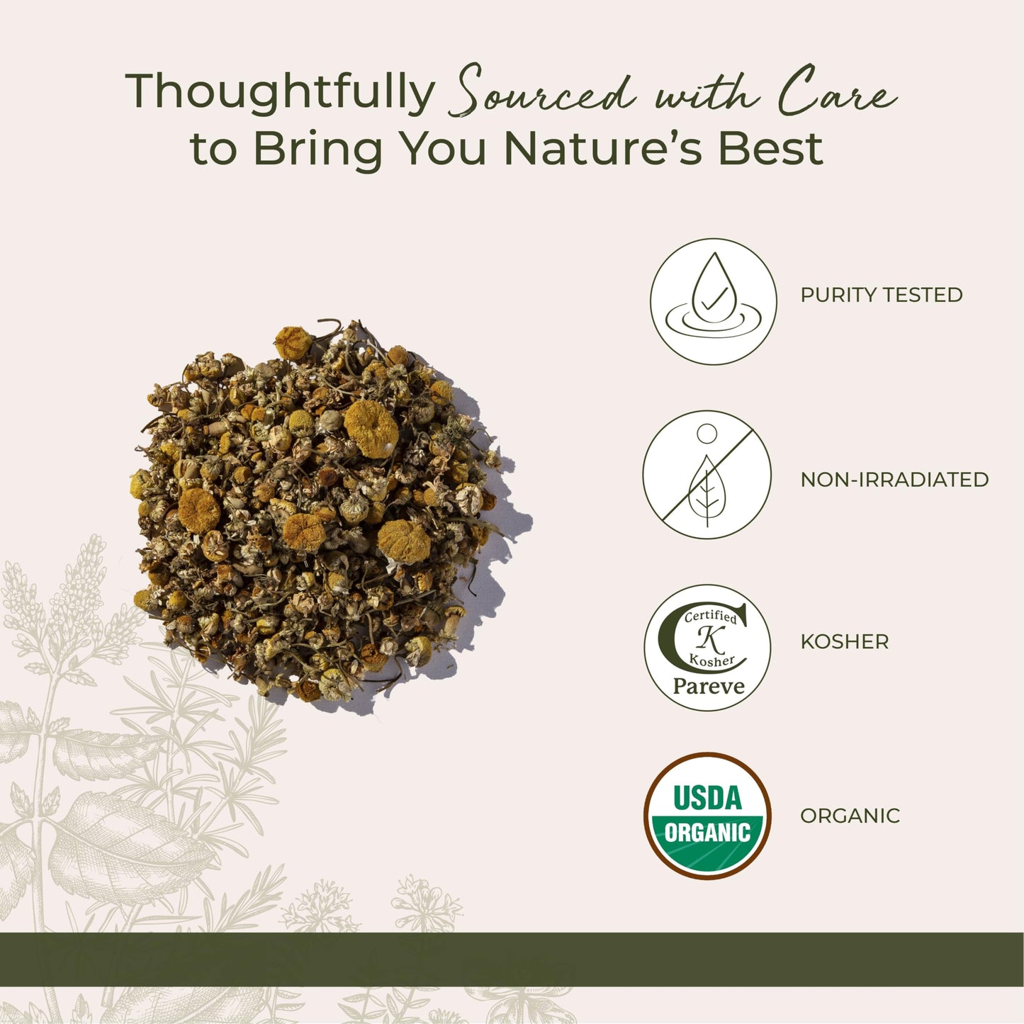 Starwest Botanicals Organic Chamomile Flowers Whole — Dried Tea & Baking Herb, Kosher & Non-GMO, 1 lb