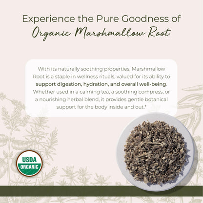 Starwest Botanicals Organic Marshmallow Root – Dried Herb for Tea, Kosher & Non-GMO – 4 oz Pouch