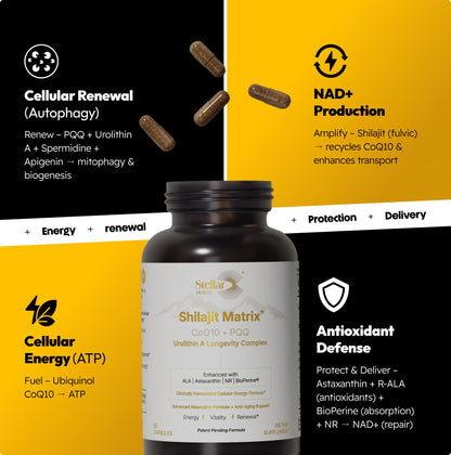 Stellar Health Clinical Mitochondrial Complex – Shilajit & NAD+ Booster with Ubiquinol CoQ10, NR, PQQ, ALA, Astaxanthin | 60 Vegan Capsules