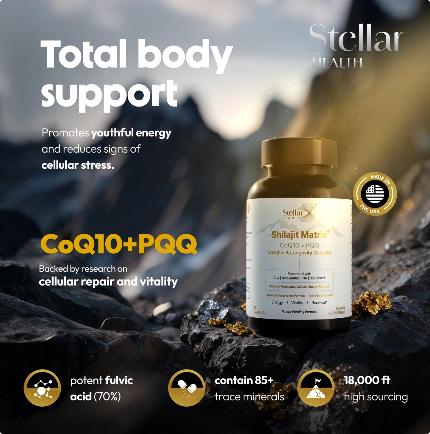 Stellar Health Clinical Mitochondrial Complex – Shilajit & NAD+ Booster with Ubiquinol CoQ10, NR, PQQ, ALA, Astaxanthin | 60 Vegan Capsules