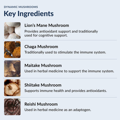Stonehenge Dynamic Health Mushrooms 1,400 mg – 5 Mushroom Complex (Lion’s Mane, Reishi, Chaga, Maitake, Shiitake) – 60 Capsules