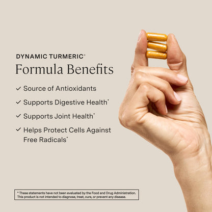 Stonehenge Health Dynamic Turmeric Curcumin with Ginger – High Potency 1,650 mg, BioPerine, 90 Vegetarian Capsules