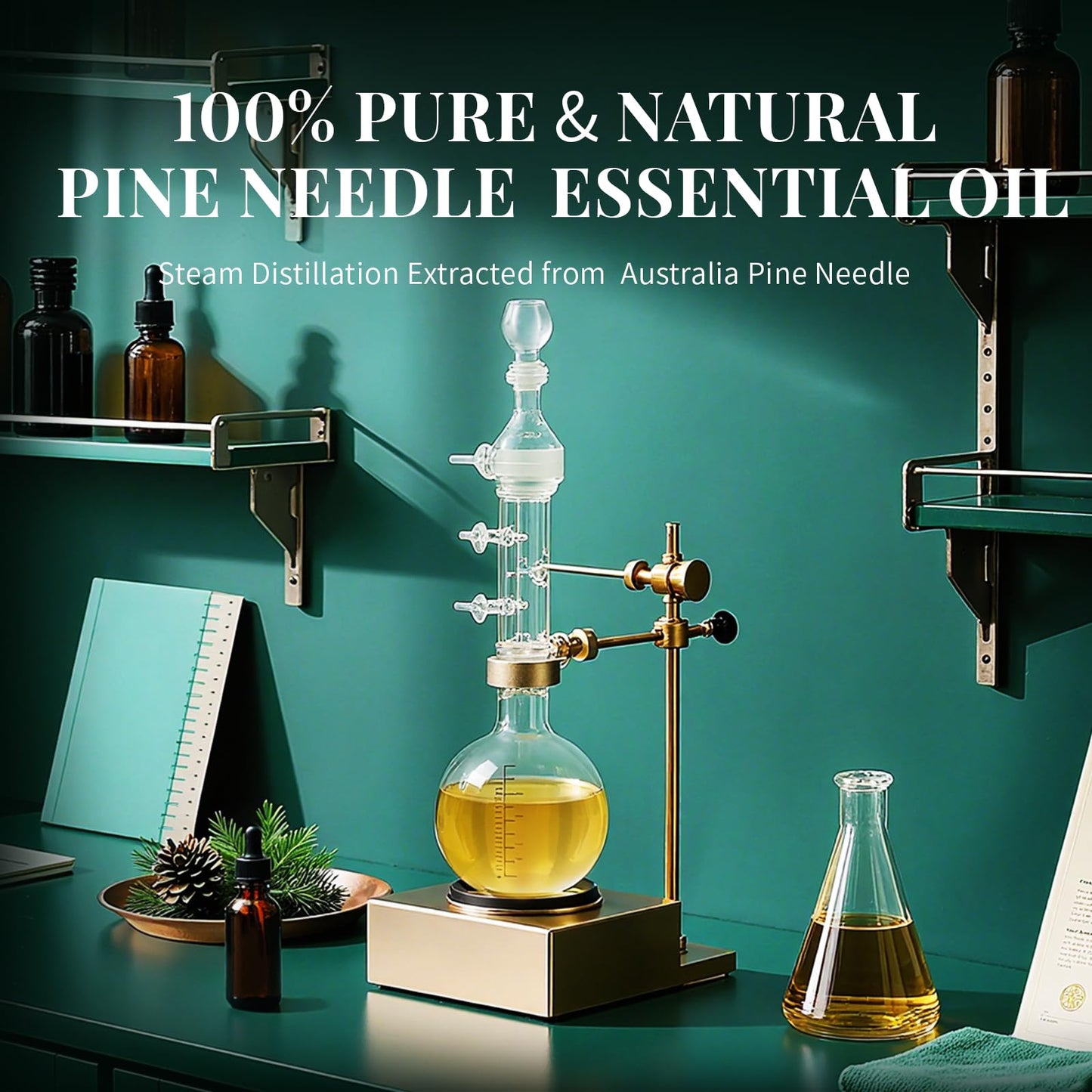 SU JUABA Pine Needle Essential Oil - 4 fl oz / 118 ml - 100% Natural Aromatherapy for Diffuser, Skin, Hair, Candles & Soap