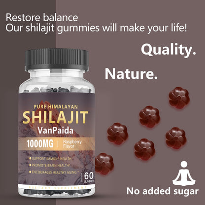 Sugar Free Shilajit Gummies - Energy, Brain & Immune Support | 85 Minerals & Ashwagandha | Raspberry