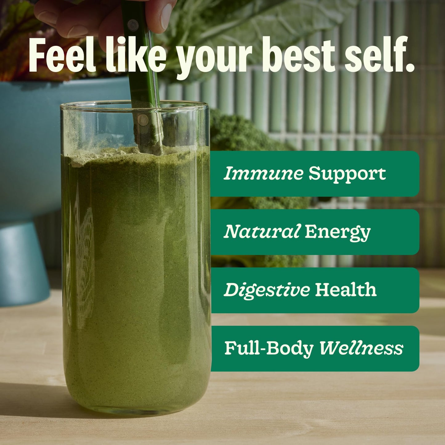 Suja Organic Greens Powder Probiotic Blend – Immune Support, Digestion & Daily Energy, 30 Servings