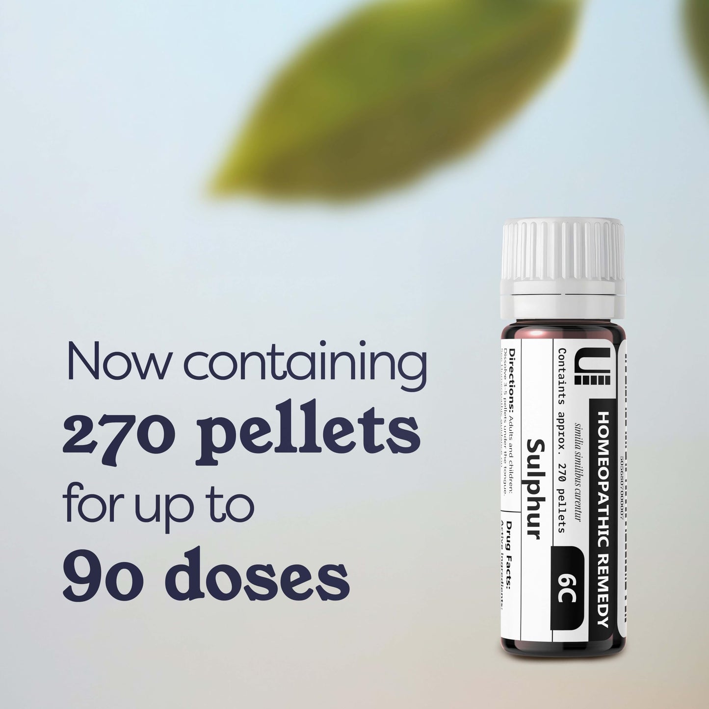 Sulphur 6C Homeopathic Remedy, 270 Pellets | Lactose-Free & No Artificial Additives