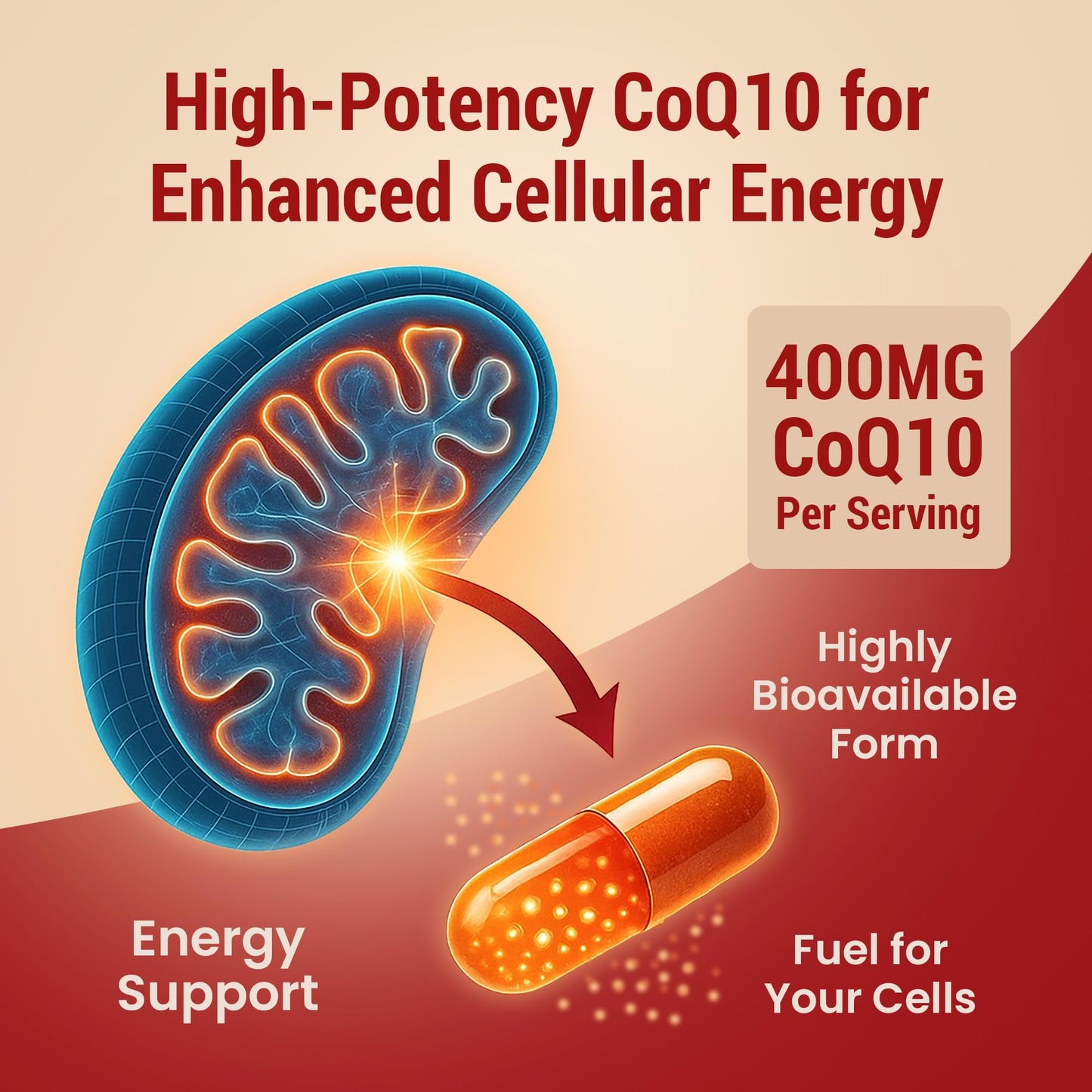 Sundhed Natural CoQ10 400mg Vegan | Ultra High Absorption CoQ10 Supplement