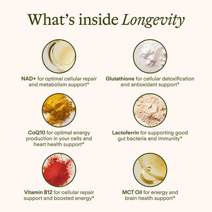 Sunny Within Longevity – Bioavailable NAD+, Glutathione & CoQ10 Liquid for Cellular Health (30 Pouches)