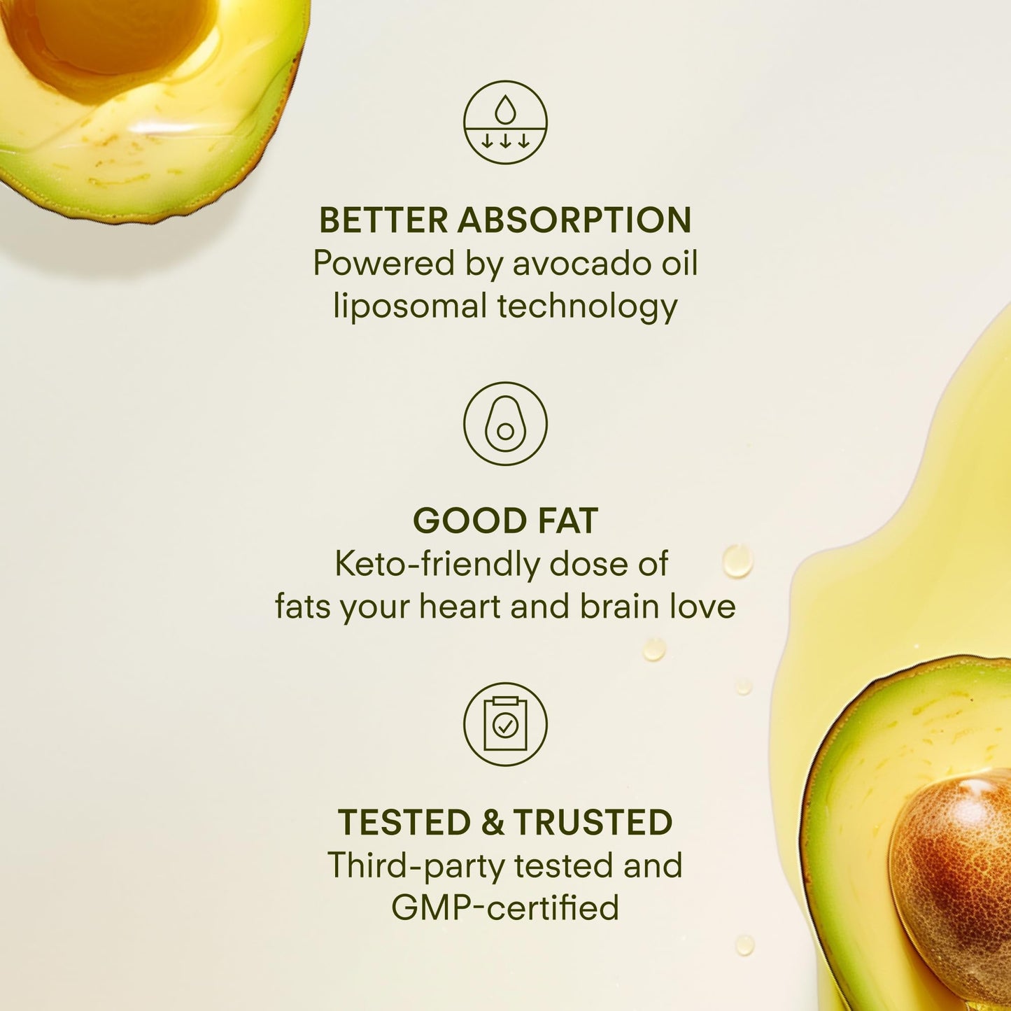 Sunny Within Longevity – Bioavailable NAD+, Glutathione & CoQ10 Liquid for Cellular Health (30 Pouches)