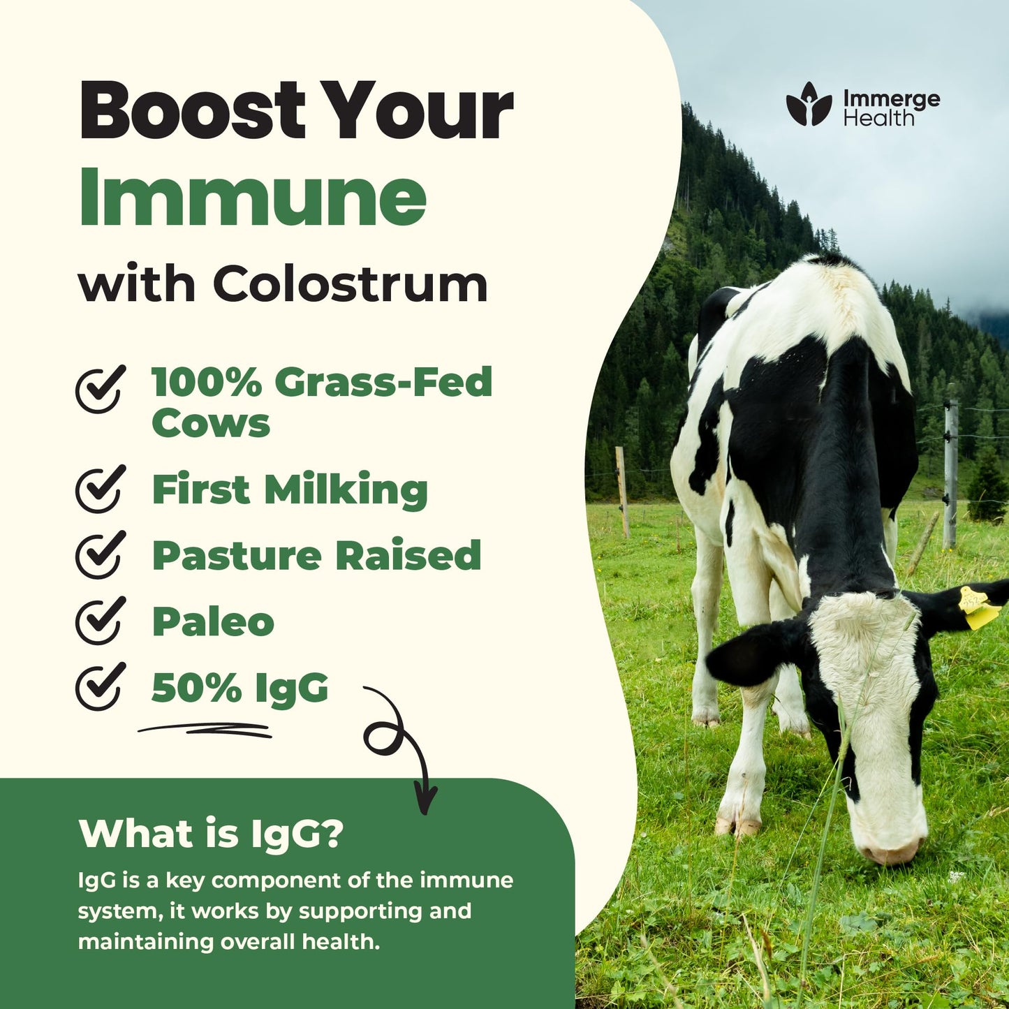 ImmergeHealth Super Colostrum Powder – Grass-Fed, 50% IgG for Gut & Vitality