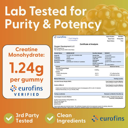 SuperMush Daily Creatine Gummies with Cordyceps – Sugar-Free Vegan Creatine Monohydrate for Strength, Focus & Recovery