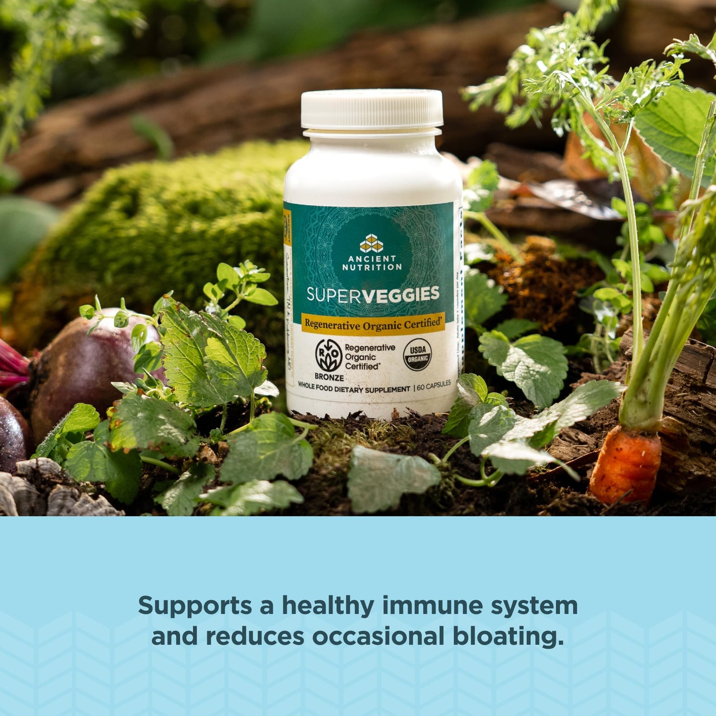 Ancient Nutrition Regenerative Organic Certified SuperVeggies Capsules | Probiotics + Kale, Broccoli & Spinach (60 Count)