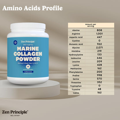 Zen Principle Marine Collagen Peptides Powder – 1.5 lb, Wild-Caught, Non-GMO, Hydrolyzed Type I & III
