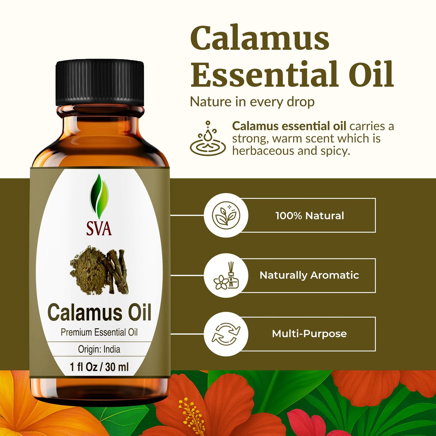SVA Calamus Essential Oil – 1 Fl Oz | 100% Natural Calamus for Diffuser, Hair & Skin