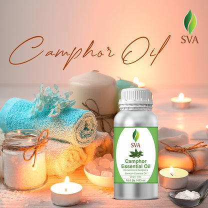 SVA Camphor Essential Oil – 16 oz | 100% Natural Camphor Oil for Diffuser, Hair & Skin Care