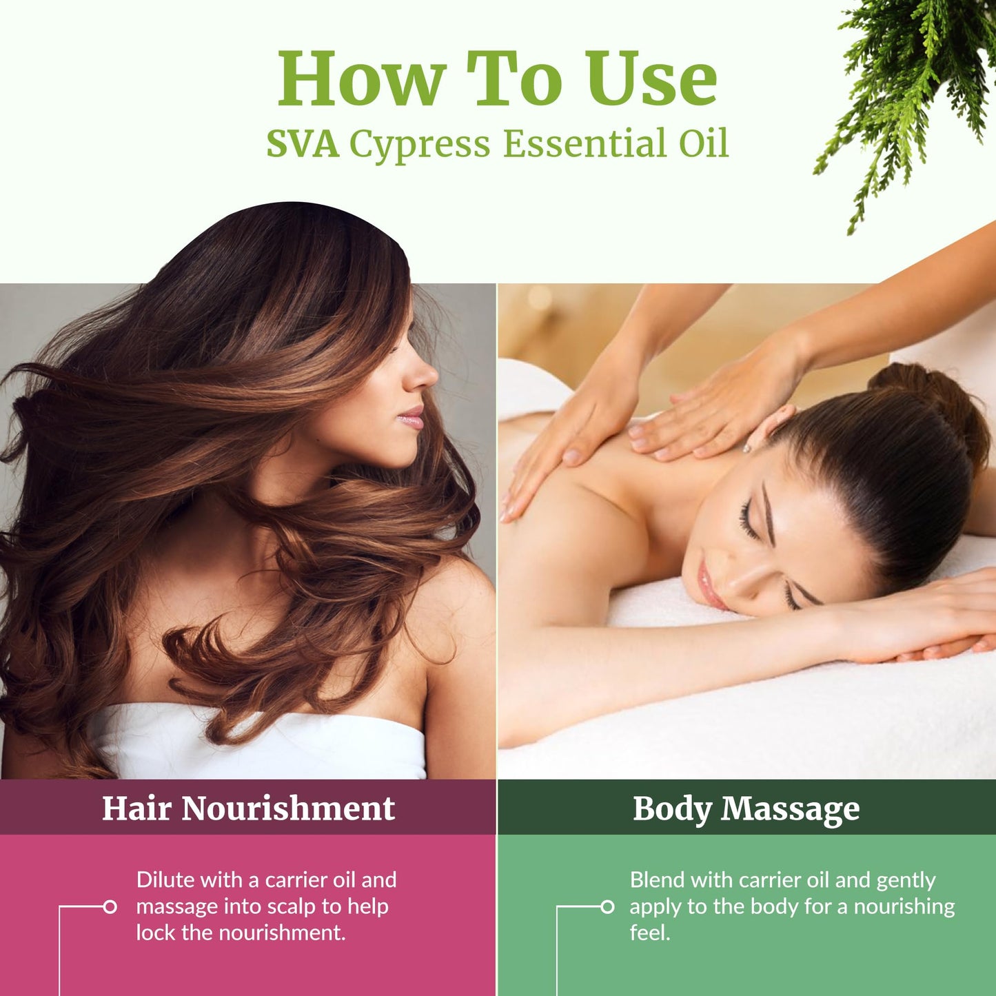 SVA Cypress Essential Oil 4oz - 100% Natural Cypress Oil
