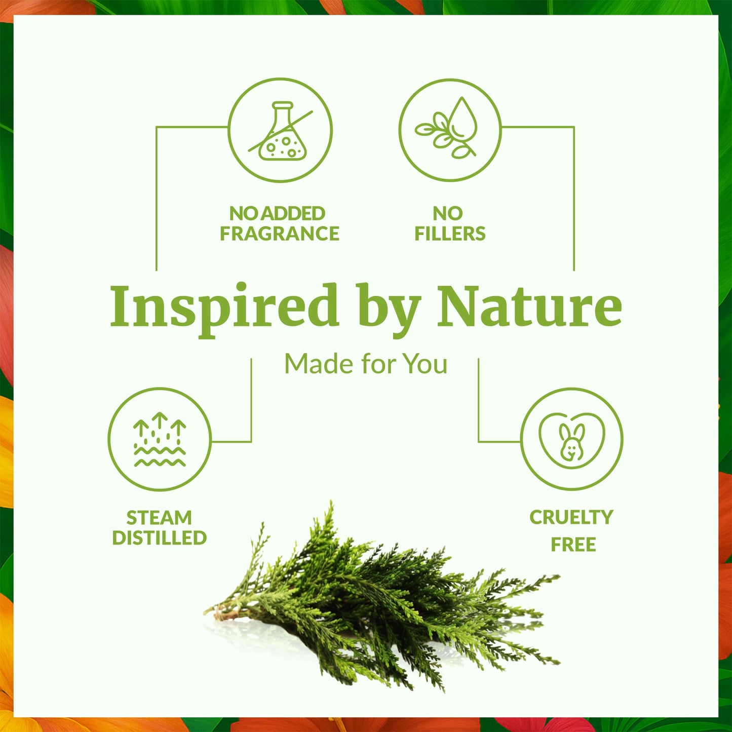 SVA Cypress Essential Oil 4oz - 100% Natural Cypress Oil