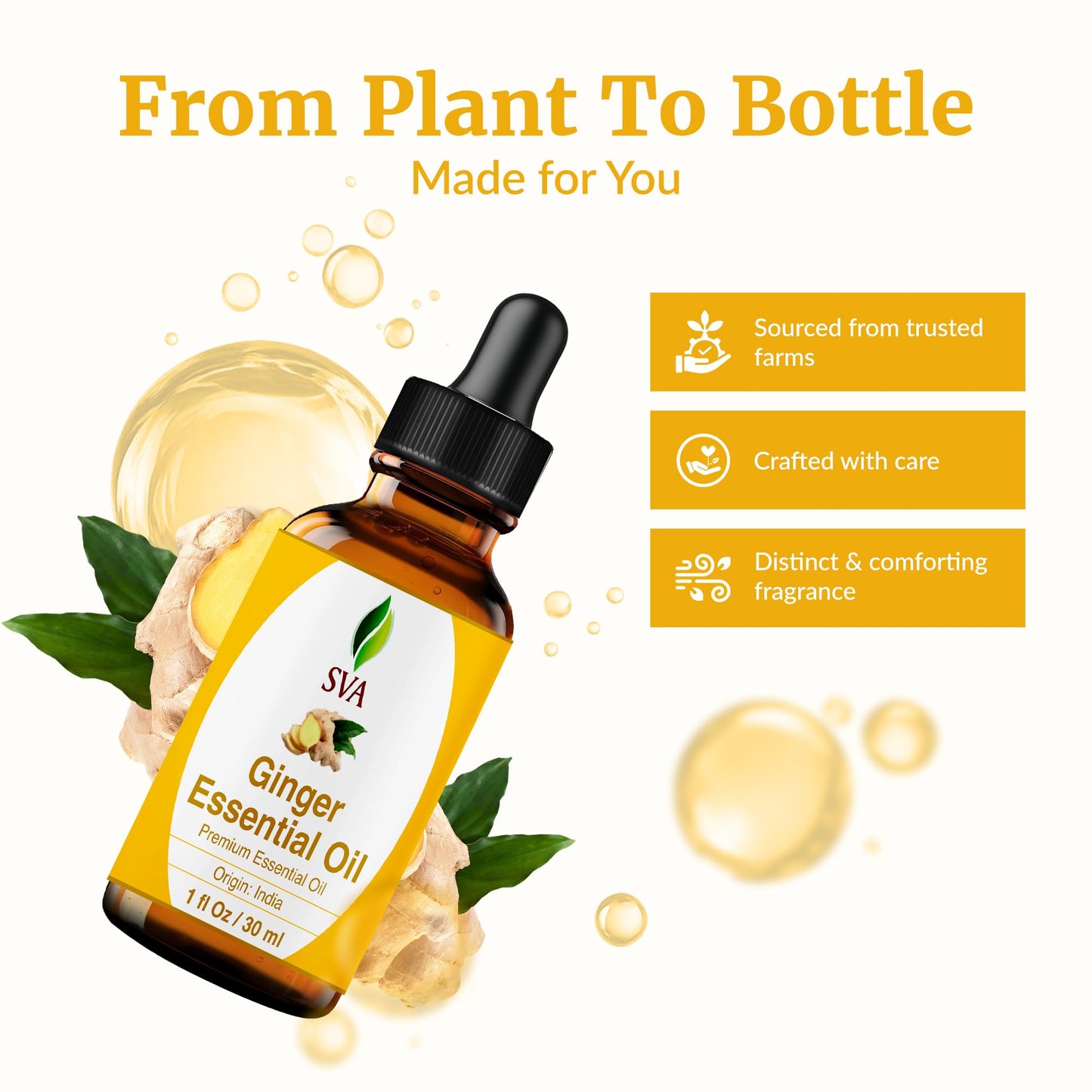 SVA Ginger Essential Oil – 1 Fl Oz | 100% Natural, Steam-Distilled Ginger Oil