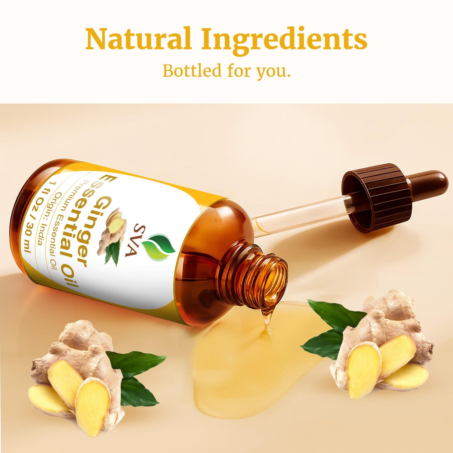 SVA Ginger Essential Oil – 1 Fl Oz | 100% Natural, Steam-Distilled Ginger Oil