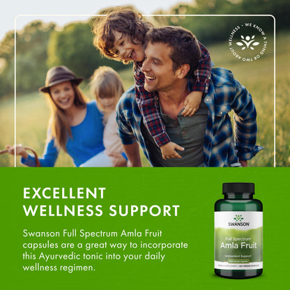 Swanson Full Spectrum Amla Fruit - Ayurvedic Indian Gooseberry Supplement, 120 Capsules (500 mg) - 4 Pack