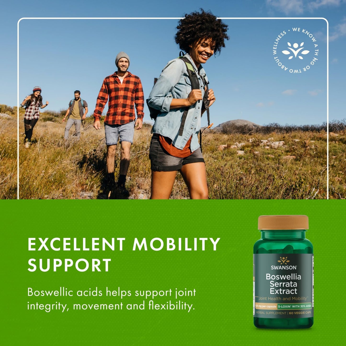 Swanson Boswellia Serrata Extract 125 mg – 60 Veg Caps – 3 Pack