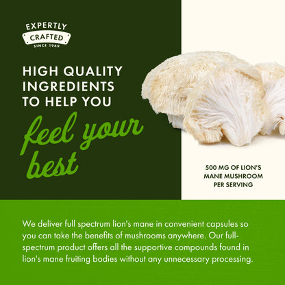 Swanson Lion's Mane Mushroom - Brain Support & Focus (4 Bottles, 60 Capsules Each)