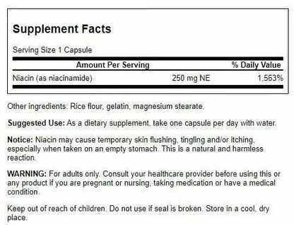 Swanson Niacinamide Vitamin B3 Supplement – 4 Pack, 250 mg Capsules (250 Count)