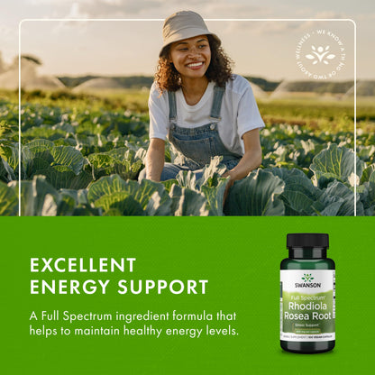 Swanson Rhodiola Rosea Root - Adaptogenic Mood & Stress Support (4 Pack, 100 Caps, 400 mg Each)